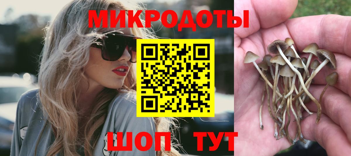 Галлюциногенные грибы мухоморы Элиста