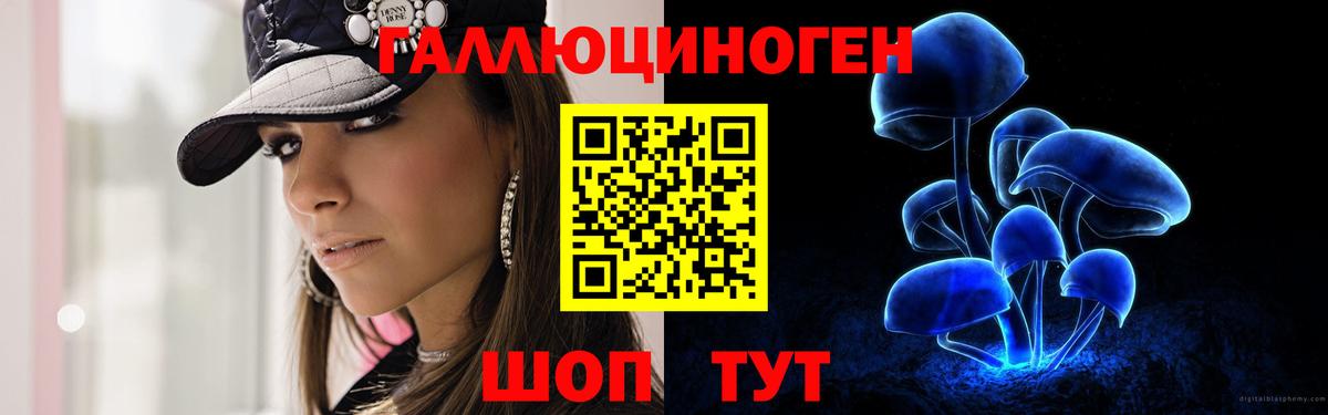 магазин продажи   Псилоцибиновые грибы Psilocybe  Элиста  Вход с VPN  Псилоцибиновые грибы Psilocybine cubensis 